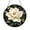 Acrylic 3.5 Inch, variant on White Magnolia Stained Glass Style Panel – Elegant Floral Window Decor