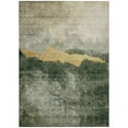 thumbnail image 2 of Addison Rugs Chantille Indoor/Outdoor Transitional Modern Fern Washable Rectangle Rug, 2'6" x 3'10", 2 of 6