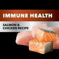thumbnail image 5 of Iams Advanced Health Immune Health Salmon & Chicken Recipe Adult Dry Cat Food, 3.5 Lb Bag, 5 of 12
