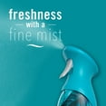 thumbnail image 4 of Febreze Air Freshener Spray, Odor-Fighting Room Spray, Rainforest, 8.8oz, 2 Count, 4 of 11