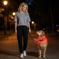 thumbnail image 5 of LED Dog Collar, Light Up Dog Collar Adjustable USB Rechargeable Super Bright Safety Light Glowing Collars for Dogs, 5 of 6