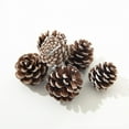 thumbnail image 3 of Happon 18 Pieces Pine Cones for Christmas Tree Christmas Pine Cones Ornaments Pine Cones Decorations Frosted Mini Pine Cones Xmas Pinecones with String Pendant Crafts for Farmhouse Winter Party, 3 of 6