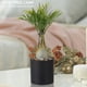 thumbnail image 5 of [Palmera] Planta Simulada Nocturna LED Pothos en Maceta USB Oficina Paisaje Interior Decorativa (A), 5 of 9