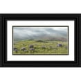 thumbnail image 1 of Murdock, Ramona 24x14 Black Ornate Wood Framed with Double Matting Museum Art Print Titled - Misty Valley I, 1 of 4
