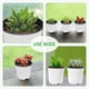 thumbnail image 5 of Macetas de plástico para vivero de plantas, macetas para iniciación de plántulas de flores, compatibles con pequeñas macetas de jardín para trasplantar suculentas, 5 of 5