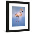 thumbnail image 1 of Greater Flamingo Phoenicopterus Ruber, Isabela Island, Galapagos Archipelago, Ecuador, Animals Framed Art Print Wall Art by Wayne Lynch Sold by Art.Com, 1 of 5