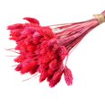 thumbnail image 1 of Coofit Dry Flower Branch DIY 24PCS Simple Natural Dried Grass Stem Dry Grass Decor, 1 of 8