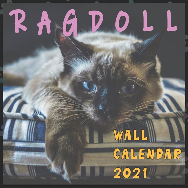 RAGDOLL Wall calendar 2021 Cute & Lovely RAGDOLL Cats 16 Months 8.5x8