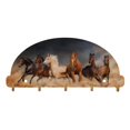 thumbnail image 1 of Next Innovations 101212020 8 x 4 Po Cheval Porte-Clés Organisateur, 1 of 1