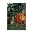 thumbnail image 1 of Trademark Fine Art 'Halloween' Canvas Art by Ron Parker, 1 of 3