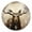 A7, variant on Decorative Round Wall Clocks Non-Ticking Silent Battery Operated Clocks with Photo for Bedroom,Living Room-Majestic Moose With Large Antlers Stands In Front Of Forest(10inch)