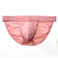 thumbnail image 1 of Birdeem Slips pour Hommes Mode Décontractée Solide Aguichant Respirant Taille Basse Slip, 1 of 1