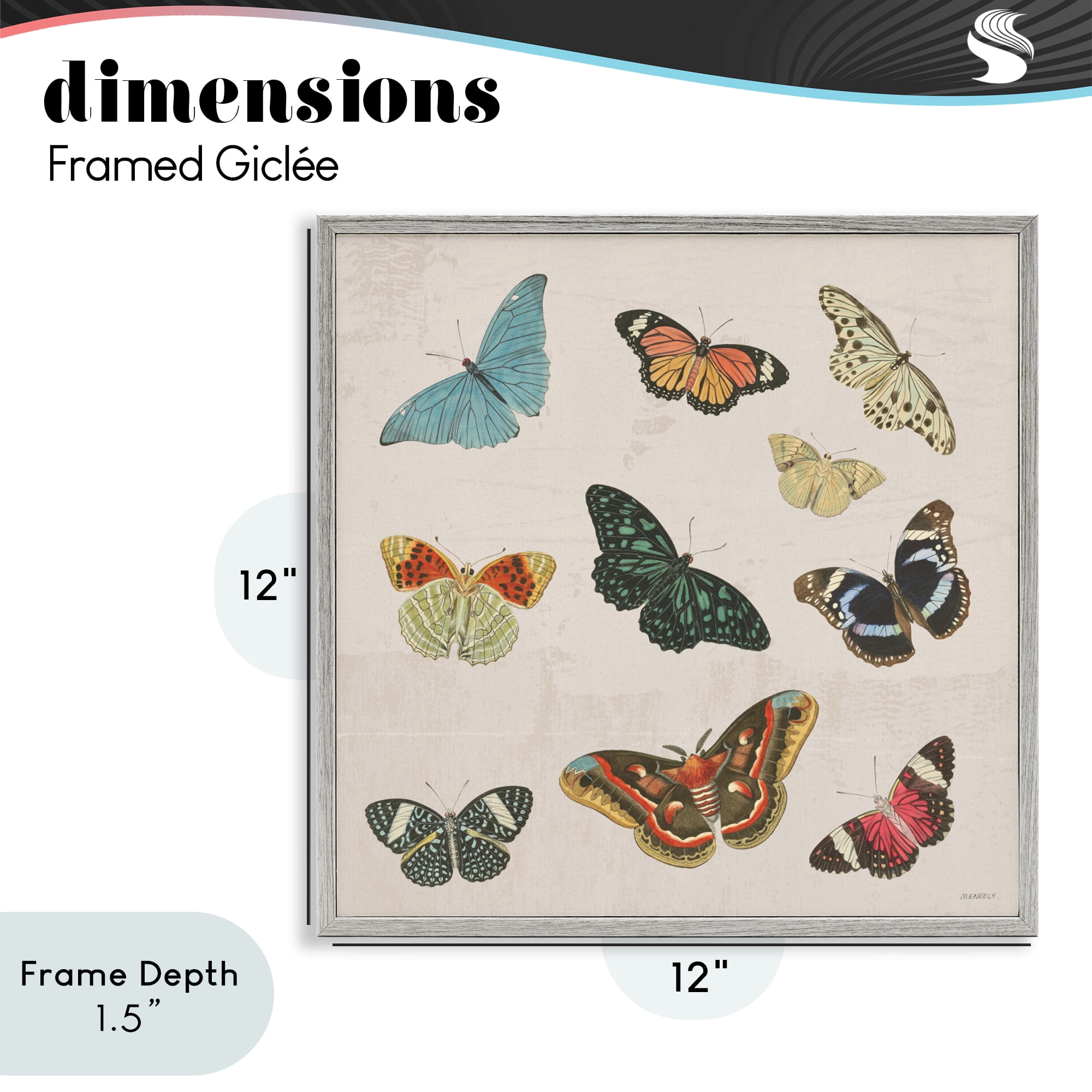 Stupell Industries Vintage Butterfly Flight Gray Framed Giclee Art, design by Dan Meneely