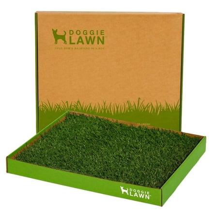 DoggieLawn Real Grass Disposable Potty Box Large