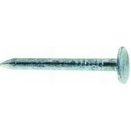 Ace 2-1/2 in. Roofing Galvanized Steel Nail Flat Head 1 lb Ace 2-1/2 in. Roofing Galvanized Steel Nail Flat Head 1 lb