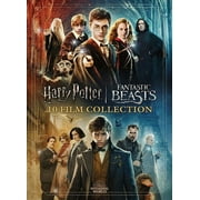 Wizarding World 10-Film Collection (20th Anniversary) (DVD)