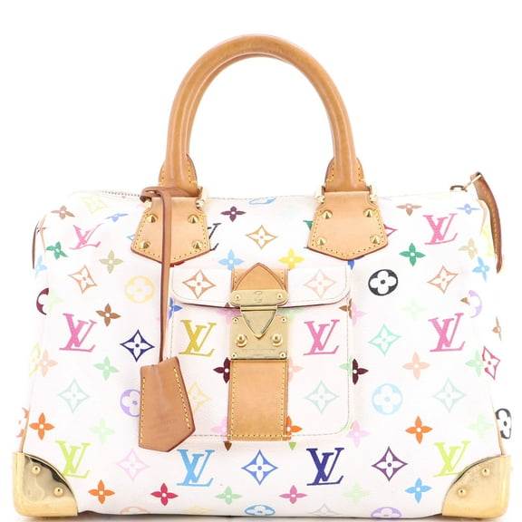 Pre-Owned Speedy Handbag Monogram Multicolor 30 By Rebag