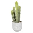 thumbnail image 1 of Vickerman FH181301 Aloe Vert de 39 Po dans un Pot en Béton, 1 of 2