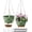 Green, variant on Planters for Indoor , 2 Pack 10 Inch Self Watering Pots with Macrame Hanger, Baskets Holder for Outdoor Garden Ceiling Window Decor