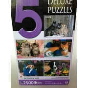 (5) Deluxe 500 Piece Puzzle Set