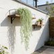 thumbnail image 5 of Plantas colgantes artificiales | Hiedra artificial | Vegetación artificial para decoración de paredes | Decoración para interiores y exteriores | Decoración para bodas, fiestas, oficinas y jardines, 5 of 6