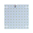 thumbnail image 2 of Luz de crecimiento LED CUTICAT 50W para plantas de jardín Invernadero Luz Cálida 81 Leds jardineras Grow Light, 2 of 7