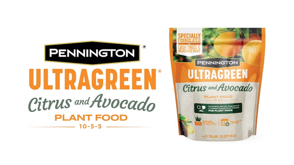 Pennington Ultragreen Citrus & Avocado Plant Food, 10-5-5 Fertilizer 5lb