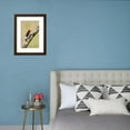 thumbnail image 3 of RedHeaded Woodpecker Melanerpes Erythrocephalus Male Perched, Framed Art Print Wall Art by Larry Ditto Sold by Art.Com, 3 of 5