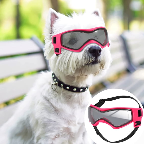 Gafas para Perro QUMY Protección UV para Razas Pequeñas a Medianas
