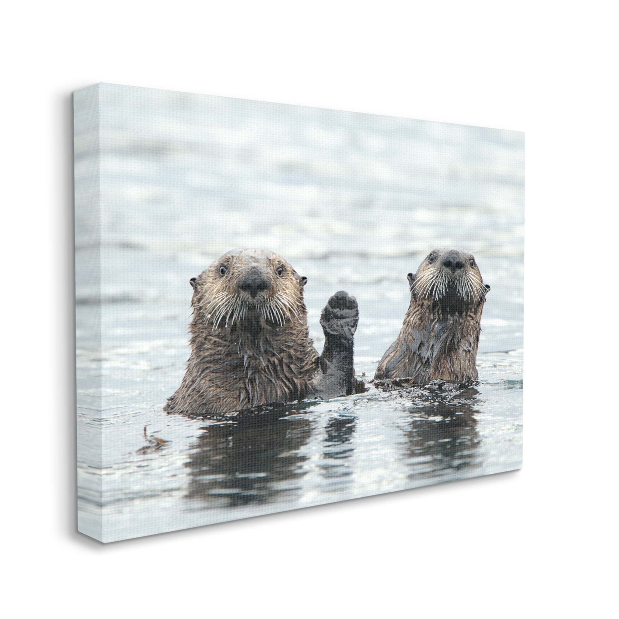 Stupell Industries Peeking Otters in Water Animals & Insects Photography Gallery Wrapped Canvas Art Print Wall Art, 48 x 36