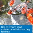 thumbnail image 4 of API Pond Simply-Clear with Barley Quickly Cleans and Clears Ponds, 4 of 5