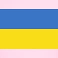 thumbnail image 3 of CafePress - Ukraine Flag T Shirt - Light T-Shirt Kids XS-XL, 3 of 4
