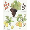 thumbnail image 2 of McCavitt, Naomi 15x18 White Modern Wood Framed Museum Art Print Titled - Fruit Medley II, 2 of 4