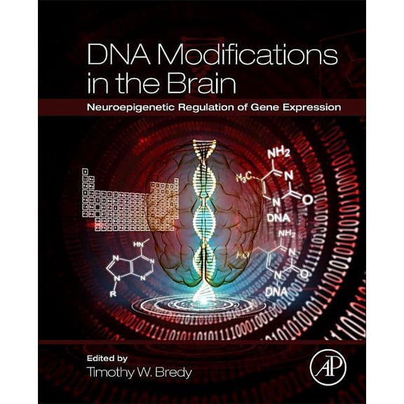 DNA Modifications in the Brain: Neuroepigenetic Regulation of Gene Expression, (Paperback)