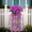 Purple, variant on Bxaolu Artificial Hanging Flowers, Fake Plastic Faux Hanging Plants Chlorophytum Vines for Indoor Outdoor Garden Porch Eave Wedding Wall Décor (Pink)
