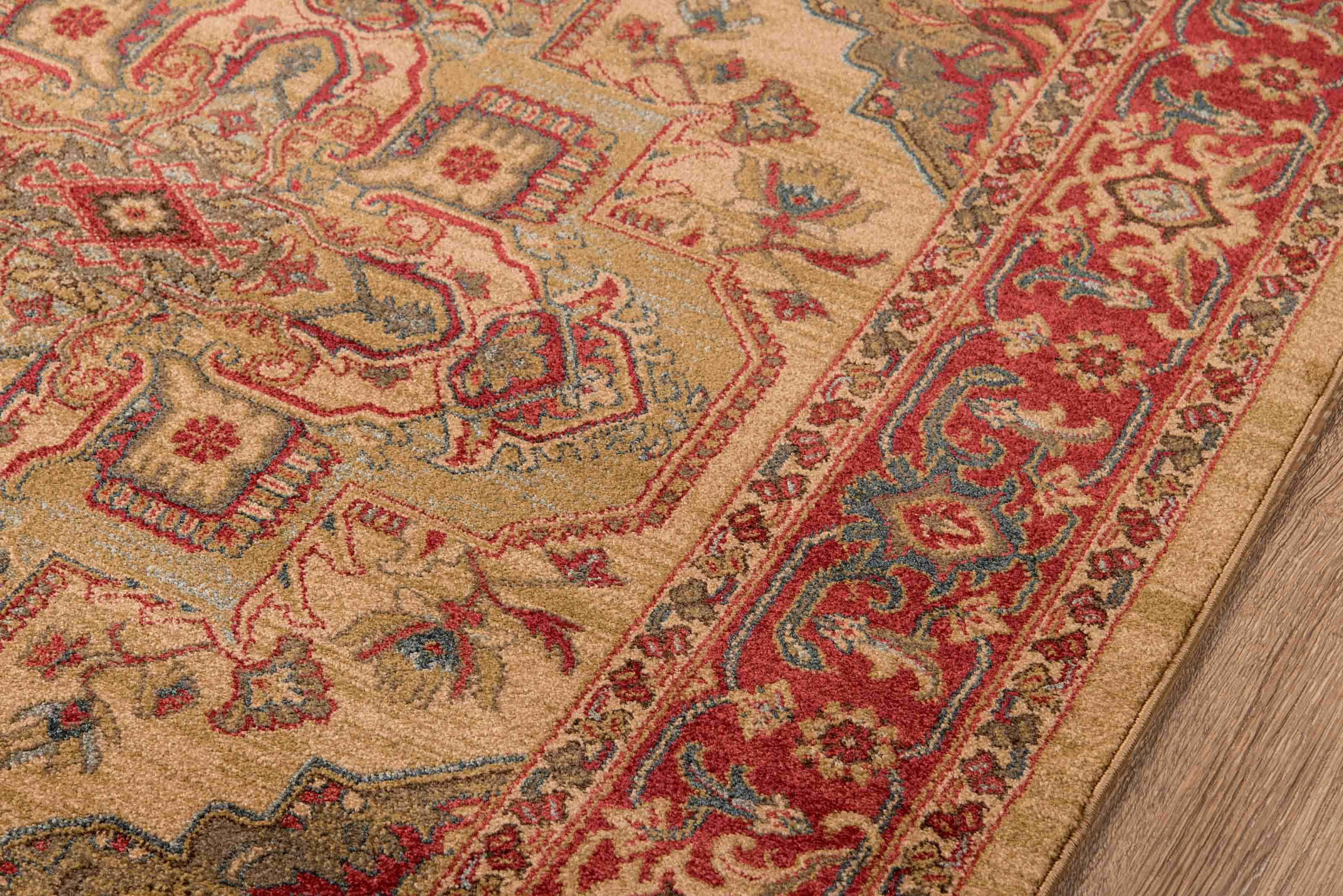 ECARPET Lux Traditional Area Rug for Living Room, Bedroom, Dining Entrance, Hallway and More.