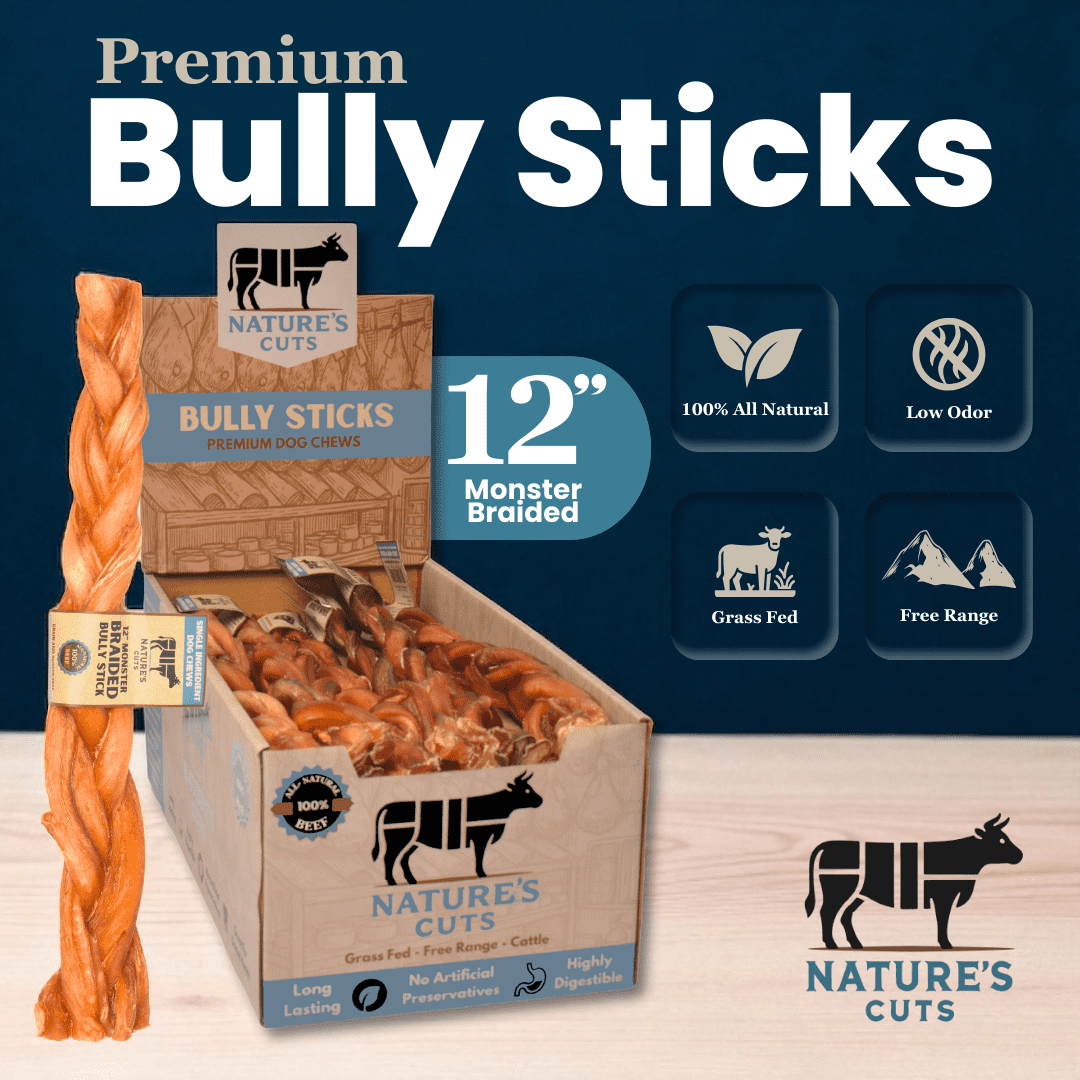12" Monster Braided Bully Sticks Display Box (10 ct) with Individual UPC Tags - 100% All Natural Beef