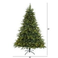 thumbnail image 3 of Nearly Natural 7ft Colorado Mountain Fir Natural Look Christmas Tree, 3 of 6