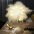 thumbnail image 3 of Aihimol LED Romantic Feather Tabletop Night Lights Decor Bedside Lamp，Indelible Feather Atmosphere Decorative Lights For Gifts Bedroom Party Wedding Christmas Valentine's Day Decor Scene Layout, 3 of 6