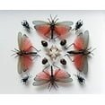 thumbnail image 5 of A Parisian Cabinet of Curiosities: Deyrolle (Hardcover), 5 of 6