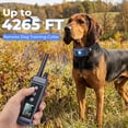 thumbnail image 2 of Dog Training Collar with Remote, Up to 4265 ft Range, Beep (1-8), Vibration (1-16) & Safe Shock (1-99) Modes, Waterproof Collar with Flashing Light, 2 of 10