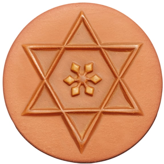 RYCRAFT 2" Round Cookie Stamp with Handle & Recipe Booklet--Star of David
