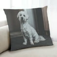 thumbnail image 1 of Ahgly Company Dogs Dogs Indoor Throw Pillow, 18 inch by 18 inch, 1 of 6