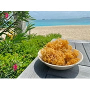 SeaMoss Boss Canouan | Dried 8oz Gold sea Moss | Ocean harvested & Sun-Dried in the Remote Grenadine Islands | Makes 120oz sea Moss Ge