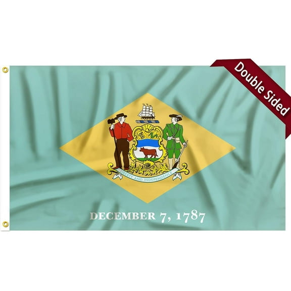 FLAGWIN Delaware Flag 3x5 FT - 3 Ply Double Sided Polyester Delaware State Flag with Brass Grommets - Vivid Color and Fade Proof State of Delaware Flag 3x5 Outdoor