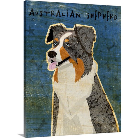 Great BIG Canvas John W. Golden Premium Thick-Wrap Canvas entitled Australian Shepherd Blue Merle