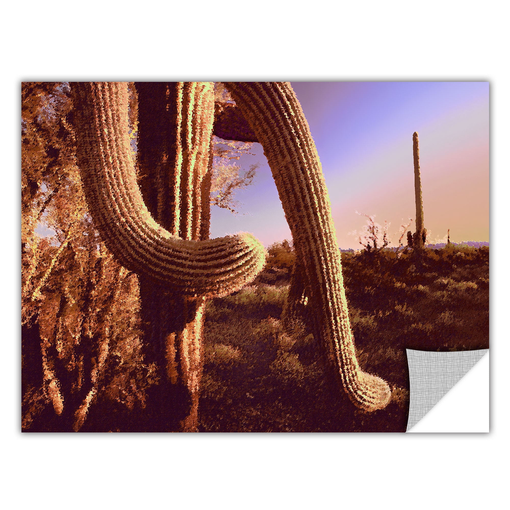 Dean Uhlinger "Sonoran Heat" Removable Wall Art