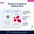 thumbnail image 3 of Prueba de ADN Koko para Perros Gama Advanced 175 Informes de Razas Salud y Rasgos, 3 of 10