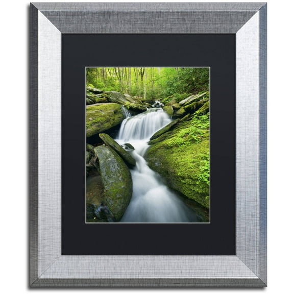 Trademark Fine Art 'Cascade Mossy Rocks' Canvas Art by Michael Blanchette Photography, Black Matte, Silver Frame