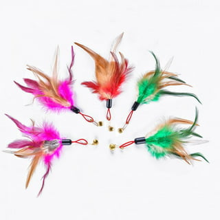 5PCS Handmade Natural Feather Cat Toy Da Bird Refills Interactive